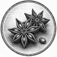 Parfum Anis étoilé