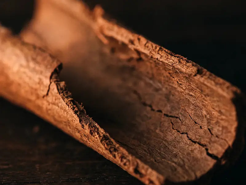 Bougie Cannelle et bois d'ébène