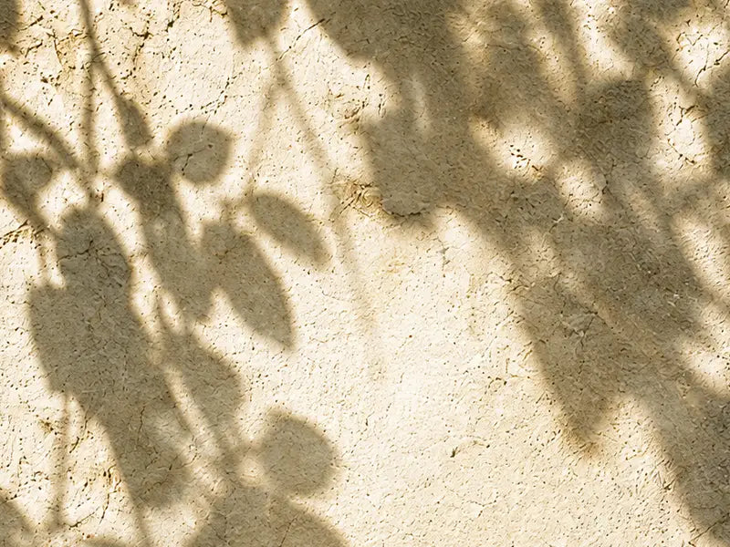 Texture Méditerranée 